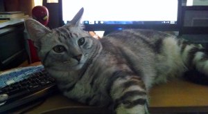 IMG_20140430_123406633