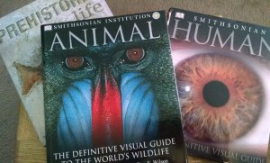 Just a sampling of the DK coffeetable books in my collection. These books are absolutely gorgeous to look at.